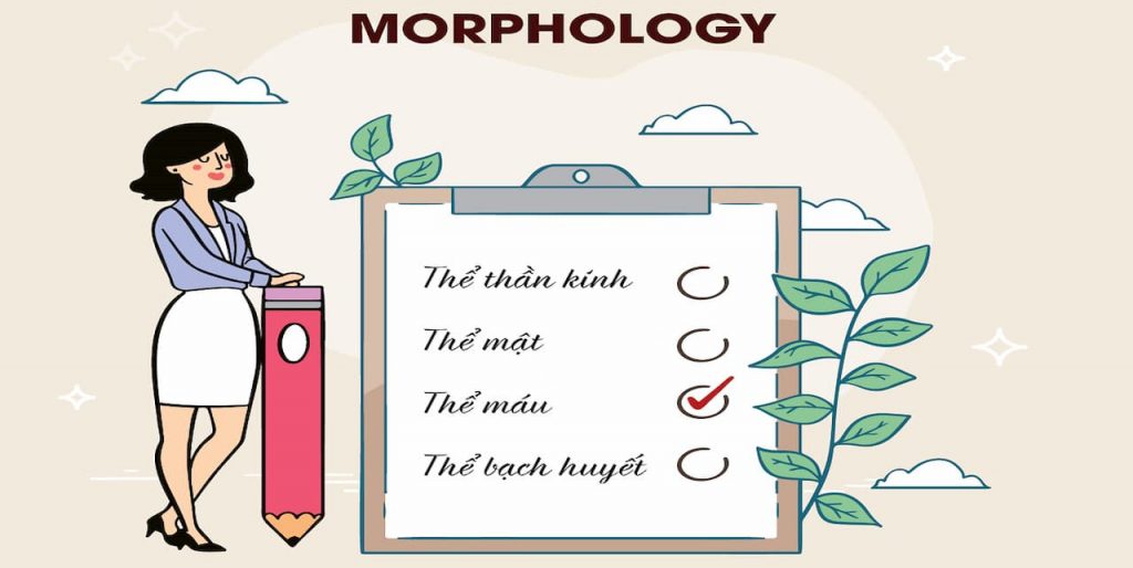 Hình thái học Morphology