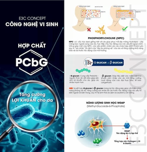 Hợp chất PCbG trong E3C Concept - dược mỹ phẩm tốt