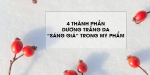 nhung-cai-ten-sang-gia-trong-duoc-my-pham-duong-trang-da