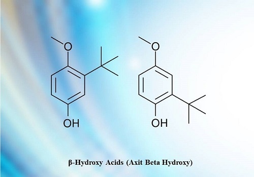 BHA (Beta Hydroxy Acid)