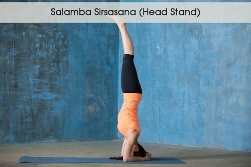 Tư thế đứng bằng đầu - Salamba Sirsasana